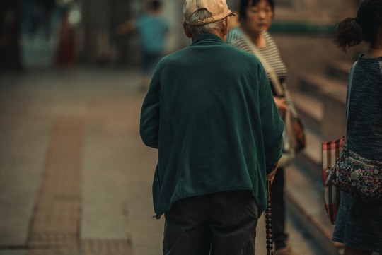 美味风蛇图纸，探索烹饪与工艺的完美结合